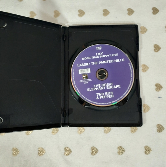 📀📼 10/$25 Lily: More Than Puppy Love DVD - Picture 2 of 3